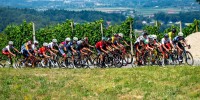 kids-tour-of-slovenia