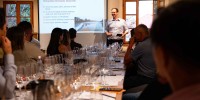 best-wines-of-posavje