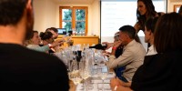 best-wines-of-posavje