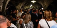 best-wines-of-posavje