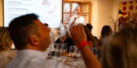 best-wines-of-posavje