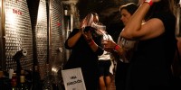 best-wines-of-posavje