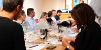 best-wines-of-posavje