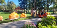 v-mozirskem-gaju-se-je-zacela-tradicionalna-razstava-buc-velikank-in-jesenskega-cvetja