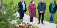 semiski-park, semic