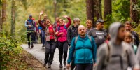 novomeski-polmaraton