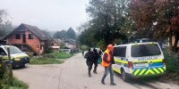 brezje