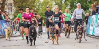 novomeski-polmaraton