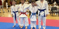 karate-klub-mirna-pec