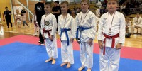 karate-klub-mirna-pec
