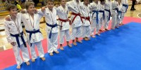karate-klub-mirna-pec