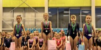 gimnasticno-drustvo-novo-mesto