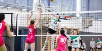 tpv-volley-novo-mesto