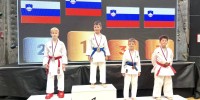 karate-klub-mirna-pec