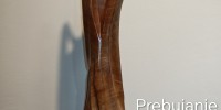 du-precna, slavko-bracic