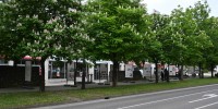Razstavljeni panoji v drevoredu ob Rozmanovi ulici