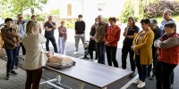 defibrilator, kostanjek