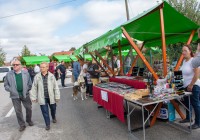 Miholov sejem pripravil pestro, kvalitetno in zanimivo ponudbo