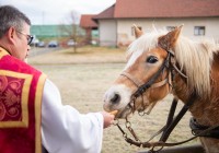 (FOTO) Konje blagoslovili tudi v Markovcih