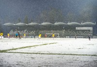 (FOTO) Težki pogoji v beli in zasneženi Fazaneriji