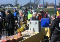 (FOTO) Materam v poklon so se podali čez Strehovske gorice