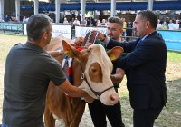 (FOTO) V Gornji Radgoni danes v ospredju govedorejci in ekološki kmetje