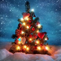 božično drevo