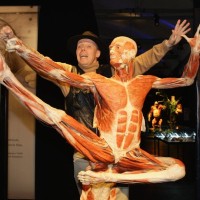 Body+Worlds+Exhibition+Gunther+Von+Hagens+EHDPueoAav1l