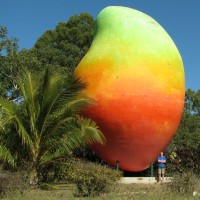 Big Mango