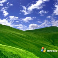 WindowsXP(01)