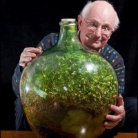 David Latimer s svojo rastlino
