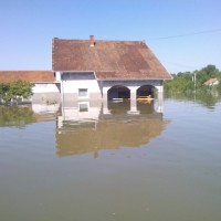 Poplave