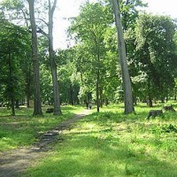 park Cascine