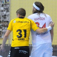 gams in hansen