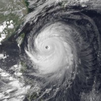 tajfun neoguri