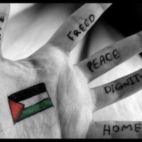 Free_Palestine