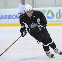 anze kopitar gw