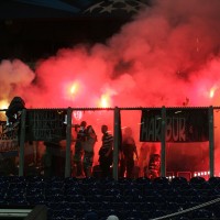 maribor schalke viole