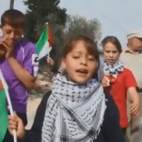 jana tamimi palestina deklica
