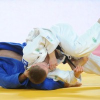 judo ge 