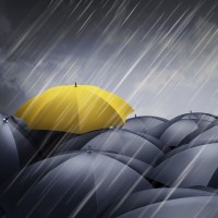 dežnik rumen dež vreme