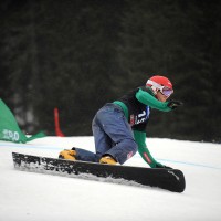 795-24-kosir1 ap