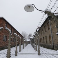 Auschwitz7