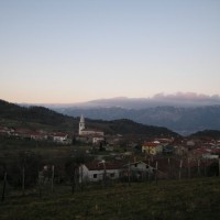 Goče