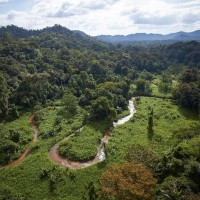 Honduras, deževni gozd, belo mesto