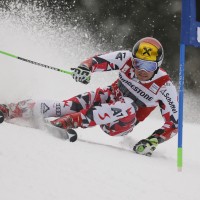 870-29-hirscher re