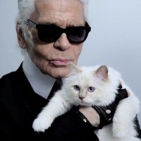 Lagerfeld, Choupette