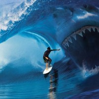 morski pes morje napad surfer surfanje tony