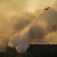 Černobil, gozdni požar