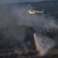 Černobil, gozdni požar 1